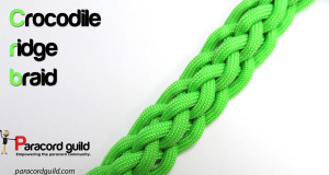6 strand crocodile ridge braid