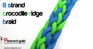 8-strand-crocodile-ridge-braid