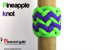 pineapple knot 12l12b